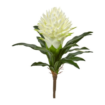 17 Ginger Flower - SKU #2266-YL