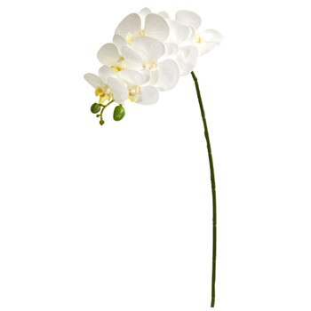 28 Phalaenopsis Orchid Flower - SKU #2269