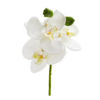 10 Phalaenopsis Orchid Pick - SKU #2271-WH