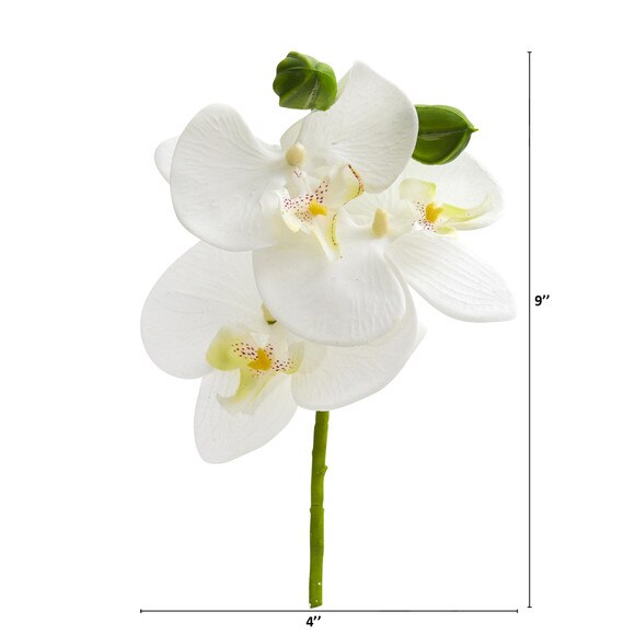 10 Phalaenopsis Orchid Pick - SKU #2271-WH - 1