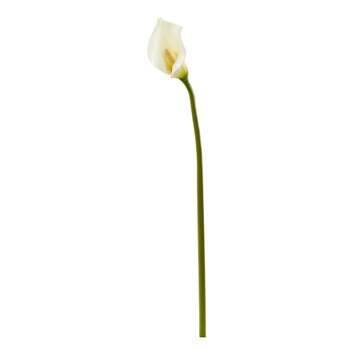 30 Open Calla Lily Bloom Collection - SKU #2315-WH