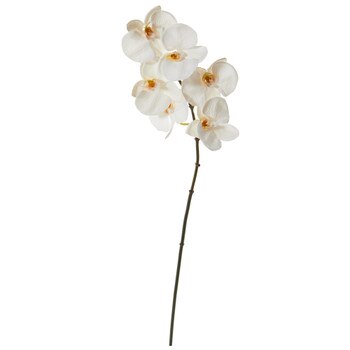 22 Phalaenopsis Orchid Flower x 6 Bloom Collection - SKU #2319-WH