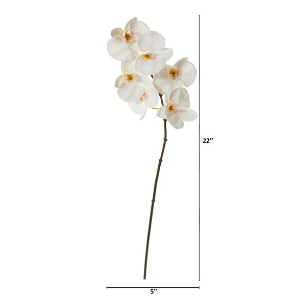 22 Phalaenopsis Orchid Flower x 6 Bloom Collection - SKU #2319-WH - 1