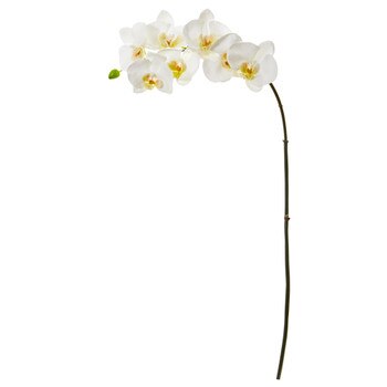 33.5 Phalaenopsis Orchid X 7 w/Bud Bloom Collection - SKU #2320-WH