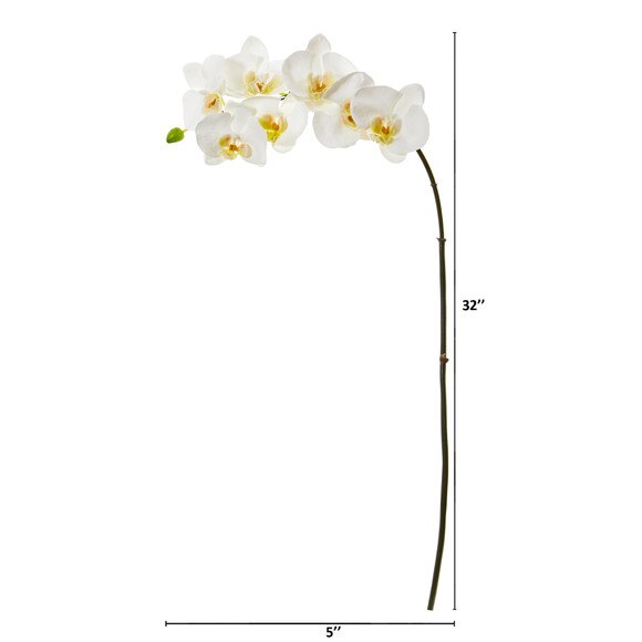 33.5 Phalaenopsis Orchid X 7 w/Bud Bloom Collection - SKU #2320-WH - 1