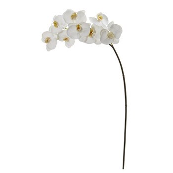 31 Phalaenposis Orchid X 8 Bloom Collection - SKU #2321-WH