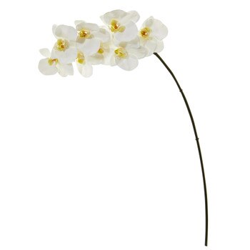 34 Phalaenopsis Orchid X 8 Bloom Collection - SKU #2322-WH