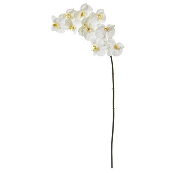 42 Large Phalaenopsis Orchid X 10 Bloom Collection - SKU #2323-WH