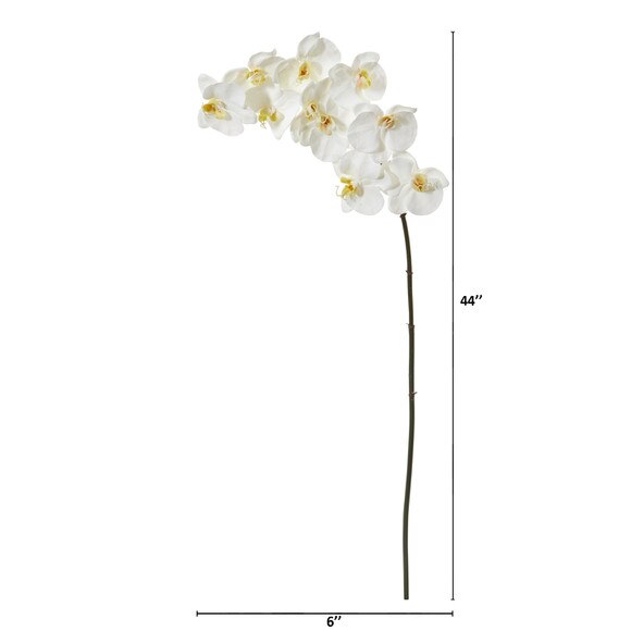 42 Large Phalaenopsis Orchid X 10 Bloom Collection - SKU #2323-WH - 1