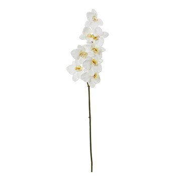 32 Phalaenopsis Orchid X 8 w/Vein Bloom Collection - SKU #2325-WH