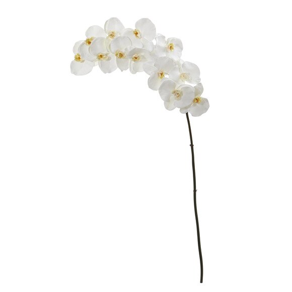 44 Large Phalaenopsis Orchid x 12 Bloom Collection - SKU #2326-WH