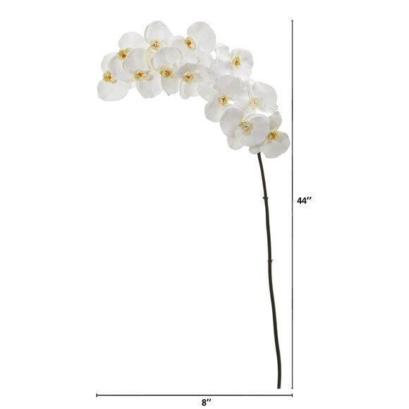44 Large Phalaenopsis Orchid x 12 Bloom Collection - SKU #2326-WH - 1