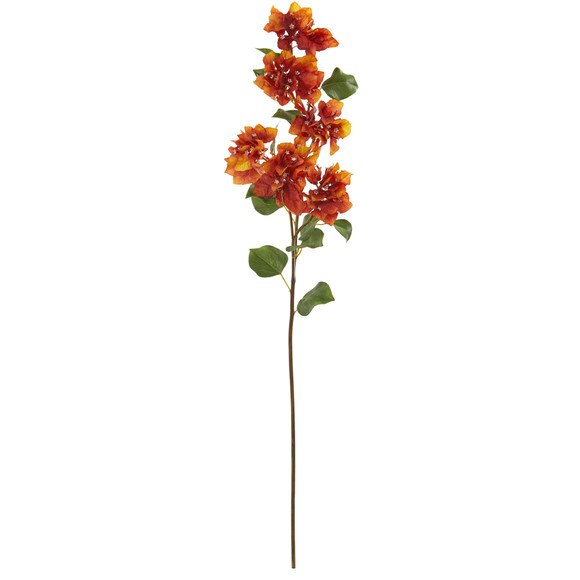 37 Bougainvillea Flower Bloom Collection - SKU #2343 - 2