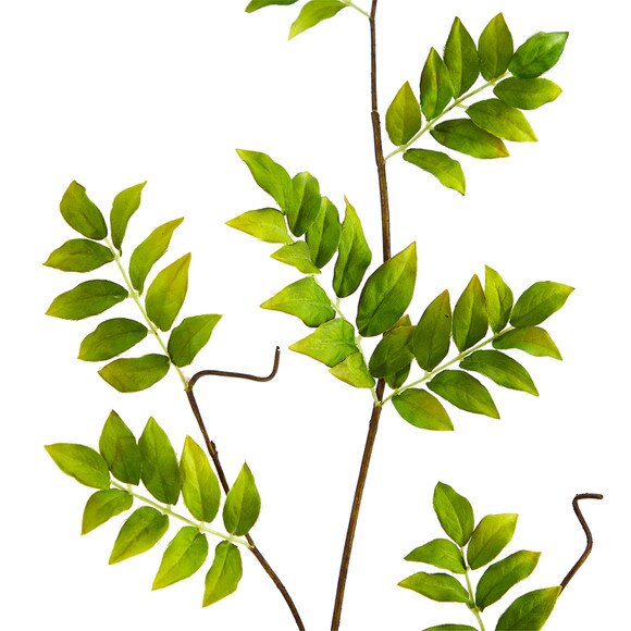 48 Wisteria Foliage Bloom Collection - SKU #2352-GR - 2
