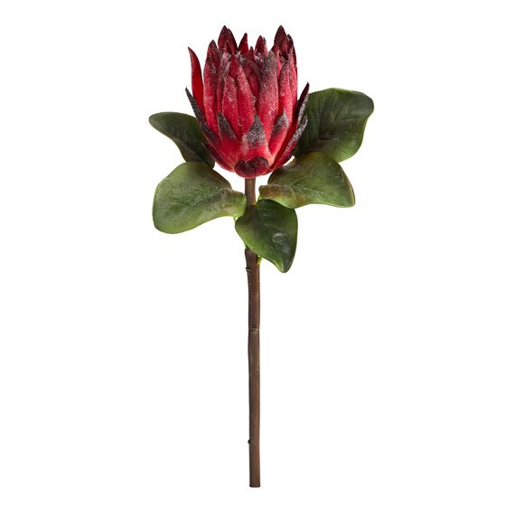 23.5 King Protea Flower Bloom Collection - SKU #2356 - 2