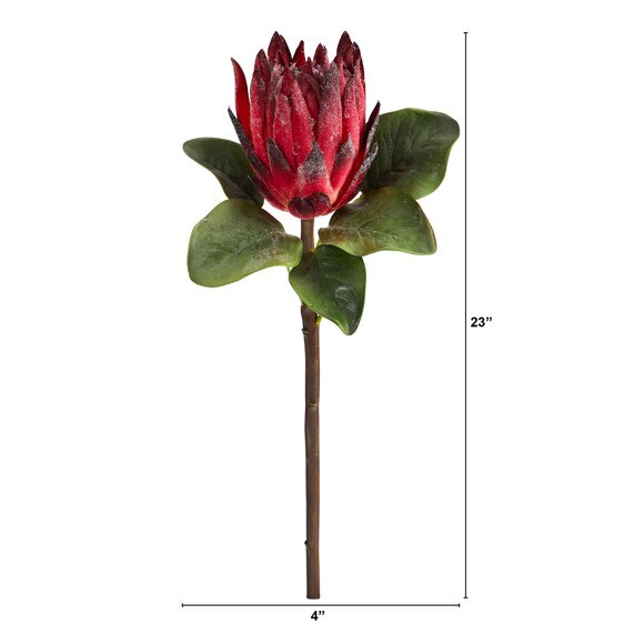 23.5 King Protea Flower Bloom Collection - SKU #2356 - 3