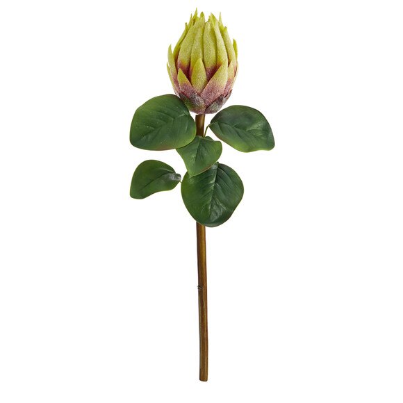 23.5 King Protea Flower Bloom Collection - SKU #2356 - 5