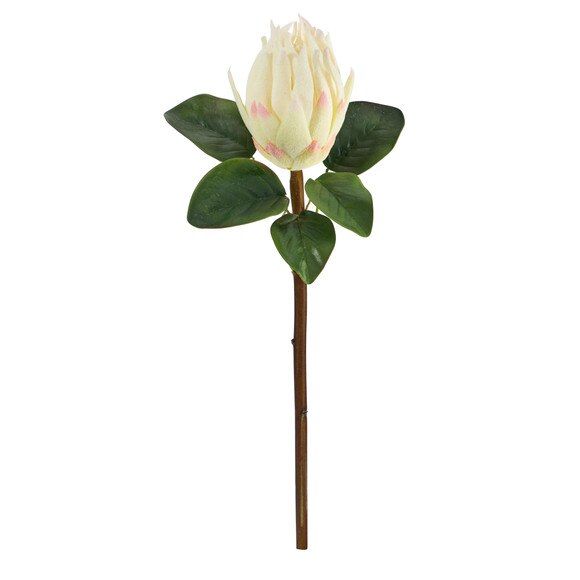 23.5 King Protea Flower Bloom Collection - SKU #2356