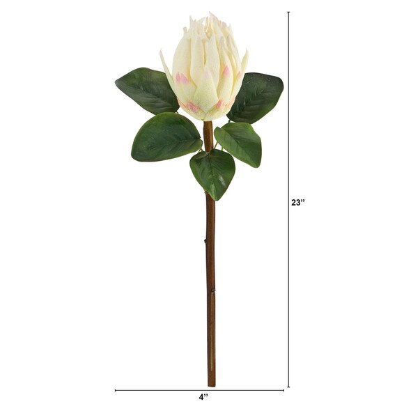 23.5 King Protea Flower Bloom Collection - SKU #2356 - 1