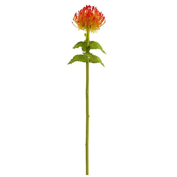 24 Pincushion Flower - SKU #2360 - 8