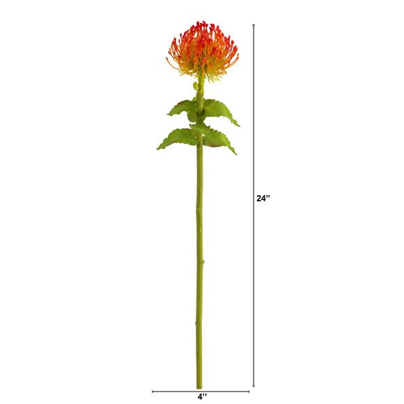 24 Pincushion Flower - SKU #2360 - 9