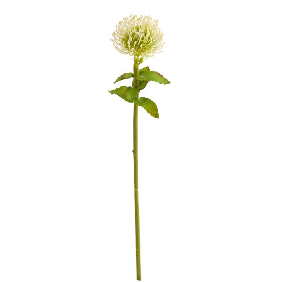24 Pincushion Flower - SKU #2360
