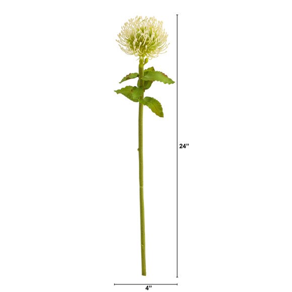 24 Pincushion Flower - SKU #2360 - 1