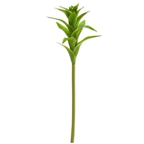 23 Star Bromeliad - SKU #2361 - 5