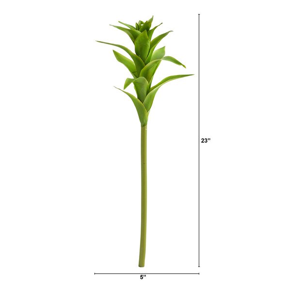 23 Star Bromeliad - SKU #2361 - 6