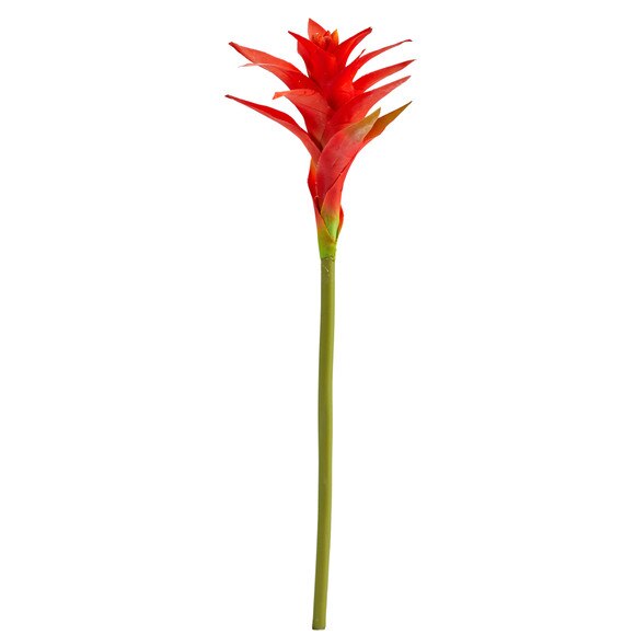 23 Star Bromeliad - SKU #2361 - 3