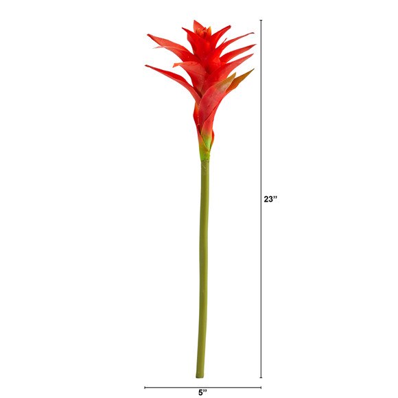23 Star Bromeliad - SKU #2361 - 4