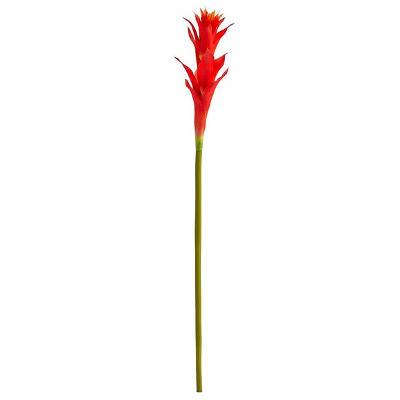 28 Mini Star Bromeliad - SKU #2362 - 6