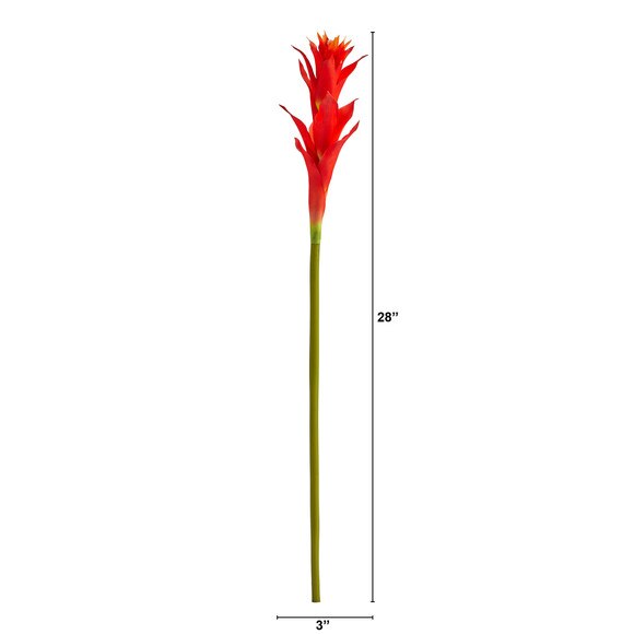 28 Mini Star Bromeliad - SKU #2362 - 7