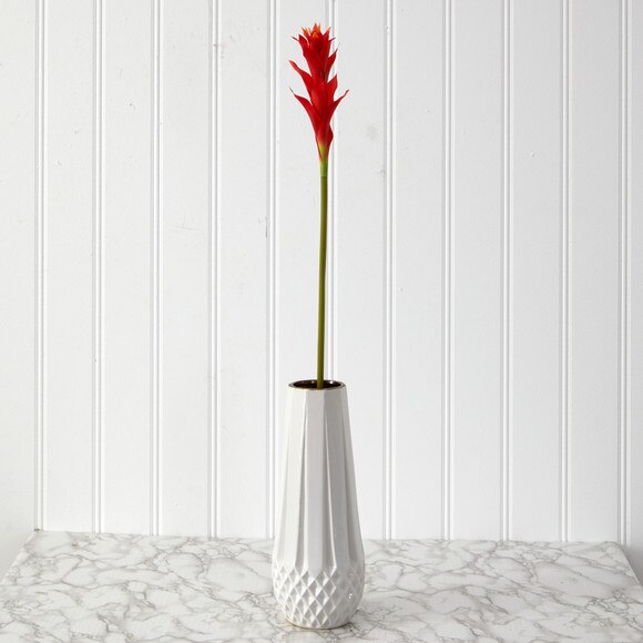 28 Mini Star Bromeliad - SKU #2362 - 8