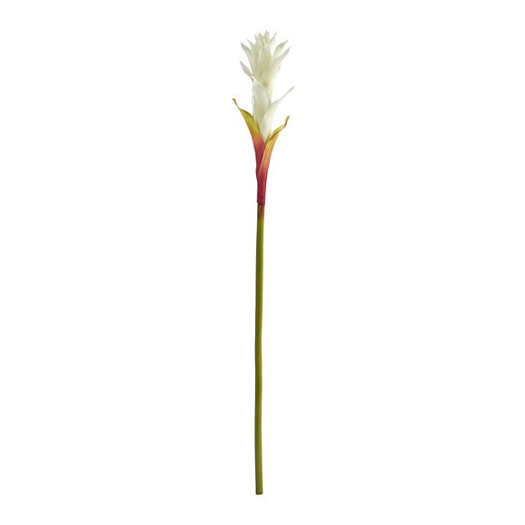 28 Mini Star Bromeliad - SKU #2362