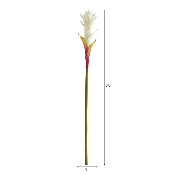 28 Mini Star Bromeliad - SKU #2362 - 1