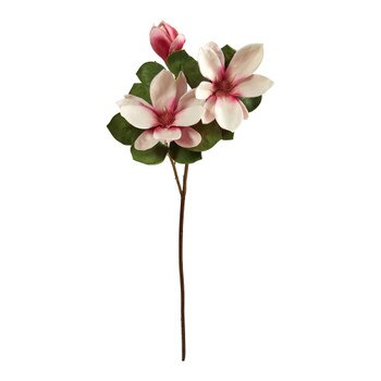 Japanese Magnolia X 3 30.5 - SKU #2365-OR