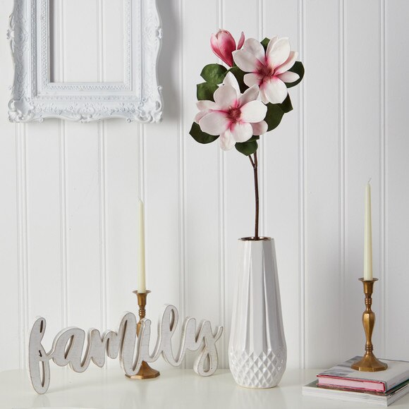 Japanese Magnolia X 3 30.5 - SKU #2365-OR - 2