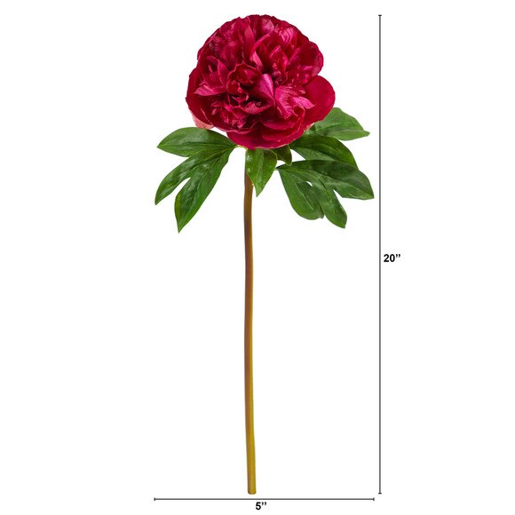 20 Peony Bloom Collection - SKU #2380-FS - 1