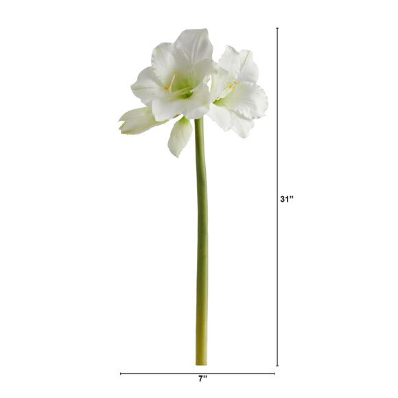 31 Amaryliss Bloom Collection - SKU #2383 - 3