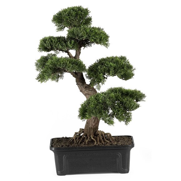 Cedar Bonsai 24 Silk Plant - SKU #4103