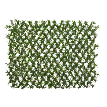 39 Podocarpus Expandable Fence UV Resistant Waterproof - SKU #4235