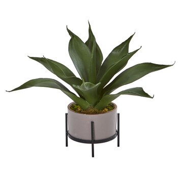 14 Agave Succulent in Decorative Planter - SKU #4241
