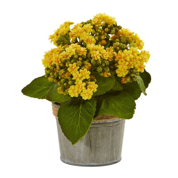 Kalanchoe Artificial Arrangements Set of 3 - SKU #4244-S3 - 1