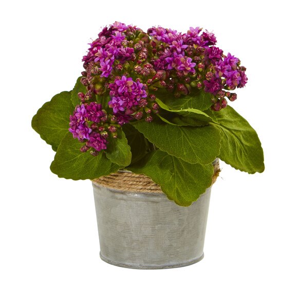 Kalanchoe Artificial Arrangements Set of 3 - SKU #4244-S3 - 2