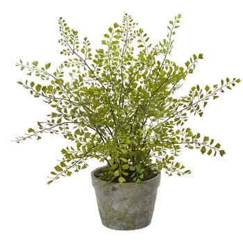 Maiden Hair Artificial Plant in Decorative Planter - SKU #4251