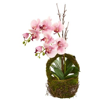 Phalaenopsis Orchid Artificial Arrangement in Twig Basket - SKU #4290