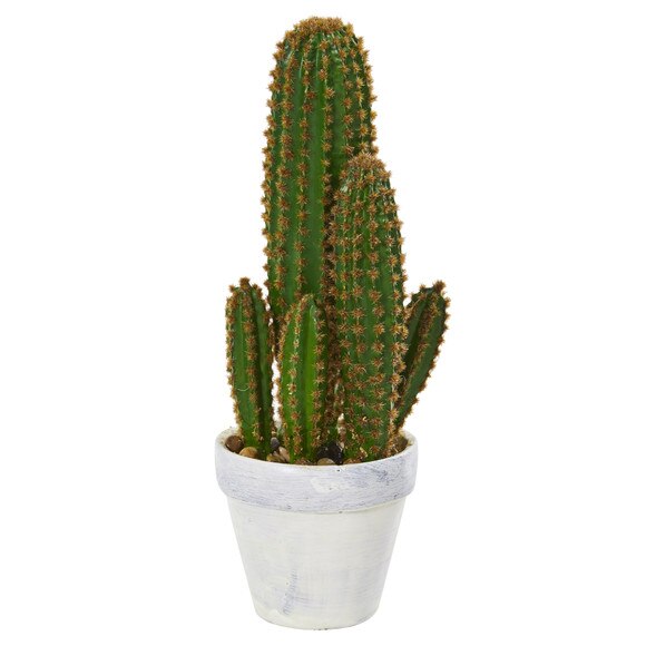 1.5 Cactus Succulent Artificial Plant - SKU #4335