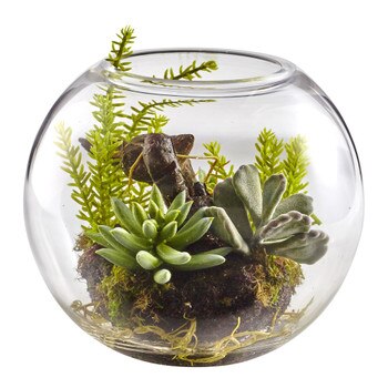 6.5 Mix Succulent Garden w/Glass Vase - SKU #4564