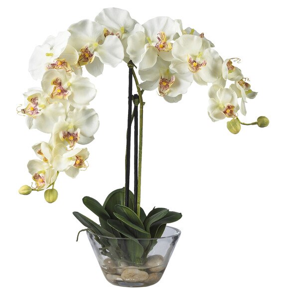Phalaenopsis w/Glass Vase Silk Flower Arrangement - SKU #4643